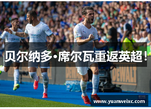 贝尔纳多·席尔瓦重返英超！