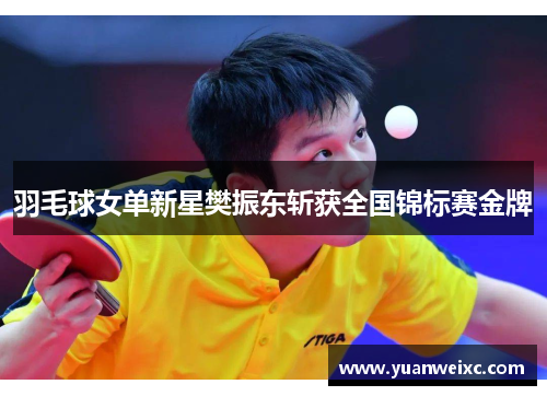 羽毛球女单新星樊振东斩获全国锦标赛金牌