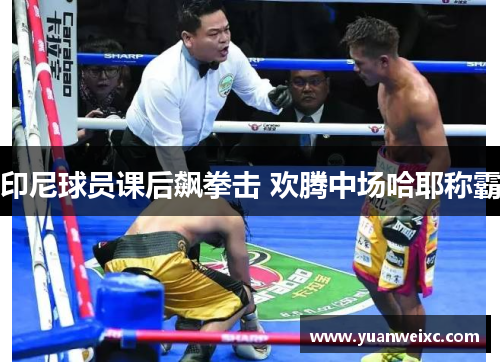 印尼球员课后飙拳击 欢腾中场哈耶称霸